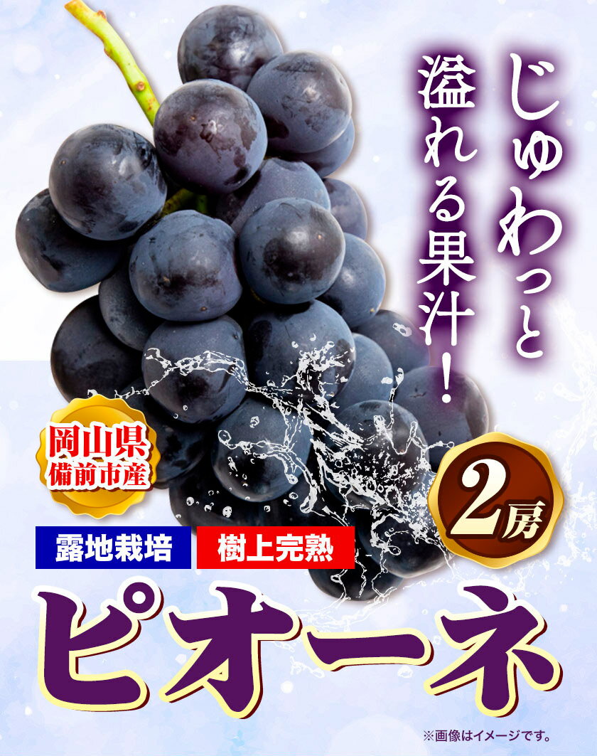 【ふるさと納税】ぶどう 【2024年発送】岡山県備前市産 樹上完熟「ピオーネ」（露地栽培）2房入《8月下旬-9月下旬頃出荷》株式会社フルーツパーク備前 岡山県 備前市 葡萄 フルーツ ピオーネ 果物