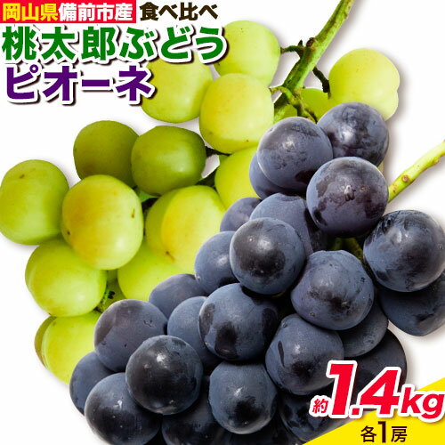 [2024年発送]ぶどう 桃太郎ぶどう ピオーネ 約 1.4kg 各1房 岡山県備前市産 種なし フルーツパークびぜん [8月上旬-9月下旬頃出荷]岡山県 備前市 葡萄 フルーツ 果物