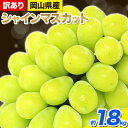 【ふるさと納税】【先行予約】 シャインマスカット 約1.8kg(3~5房) 岡山県産《2024年9月中旬～11月中旬頃出荷》シャインマスカット 訳..