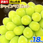 【ふるさと納税】【先行予約】 シャインマスカット 約1.8kg(3~5房) 岡山県産《2024年9月中旬～11月中旬頃出荷》シャインマスカット 訳あり マスカット 厳選 種なし フルーツ 果物 ぶどう ご家庭用 大粒から小粒まで不揃い 岡山県 備前市