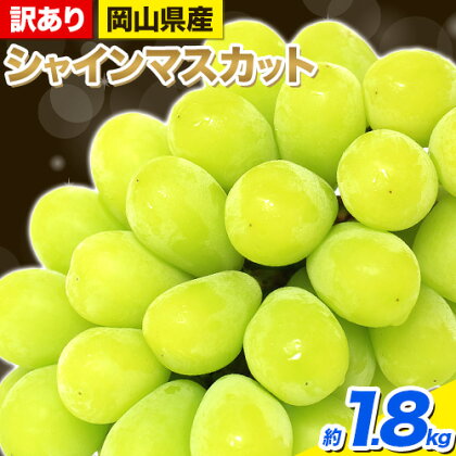 【先行予約】 シャインマスカット 約1.8kg(3~5房) 岡山県産《2024年9月中旬～11月中旬頃出荷》シャインマスカット 訳あり マスカット 厳選 種なし フルーツ 果物 ぶどう ご家庭用 大粒から小粒まで不揃い 岡山県 備前市