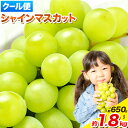 【ふるさと納税】シャインマスカット 岡山県産 約650g 約1kg 約1.3kg 約1.8kg 《2025年9月上旬-11月中旬頃に出荷予定(土日祝除く)》 マ...