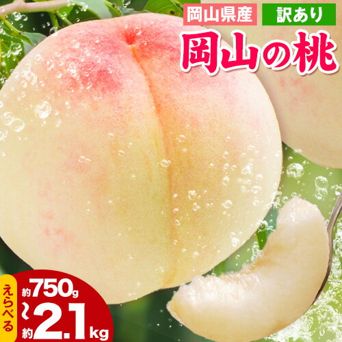 【ふるさと納税】 桃 もも 岡山の桃 選べる 約750g o
