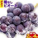 【ふるさと納税】訳あり ピオーネ 岡山県産 計1.2kg 2房 計2.4kg 4房《9月中旬-11月上旬頃出荷》岡山県 備前市 くだもの 果物 フルーツ ぶどう...