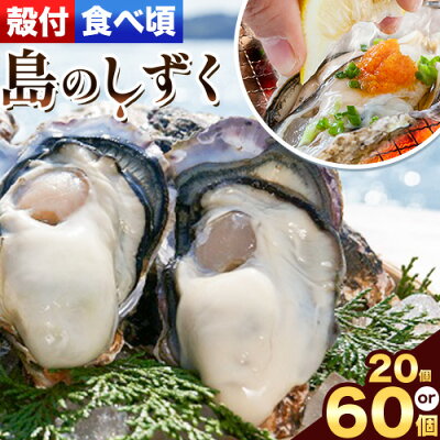 楽天ふるさと納税　【ふるさと納税】【厳選！】日生頭島殻付牡蠣「島のしずく」（加熱用：食べ頃サイズ 20個 or 60個）《2024年1月上旬‐4月上旬頃より出荷予定》岡山県 備前市 牡蠣 かき