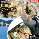 【ふるさと納税】【牡蠣-1グランプリ受賞】牡蠣 ガンガン焼きセット ひなせ産 カキ 加熱用 軍手 ナイフ 付き 殻付き 3kg (25〜35個程度) 株式会社D...