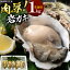 【ふるさと納税】牡蠣 岡山県 日生産 岩ガキ カキ 生食用 殻付き 1kg (4〜6個程度) 日生町漁業協同組合 《5月上旬-7月中旬頃出荷》岡山県 備前市 送料無料 かき 牡蠣 岩牡蠣 海産物 産地直送 お取り寄せグルメ 生食 13,000円