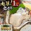 【ふるさと納税】牡蠣 岡山県 日生産 岩ガキ カキ 生食用 殻付き 1kg (4〜6個程度) 日生町漁業協同組合 《5月上旬-7月中旬頃出荷》岡山県 備前市 送料無料 かき 牡蠣 岩牡蠣 海産物 産地直送 お取り寄せグルメ 生食 13,000円