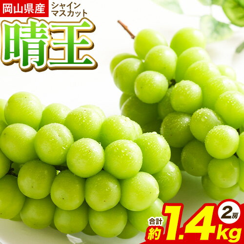 シャインマスカット 岡山県産シャインマスカット晴王 約1.4kg(2房) 株式会社あいたいよう [9月上旬-9月下旬頃出荷]岡山県 備前市 シャインマスカット 晴王 ぶどう
