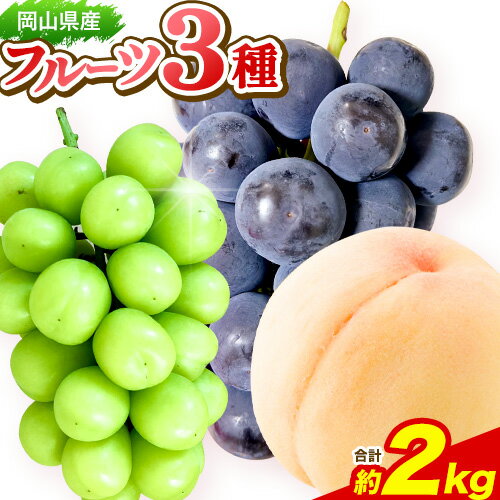 【ふるさと納税】フルーツ 岡山県産フルーツ3種セット 約2kg シャインマスカット1房 ピオーネ1房 白桃4玉~5玉 株式会社あいたいよう 《6月中旬-8月上旬頃出荷》ふるさと納税 岡山県 備前市 シャインマスカット ピオーネ 白桃 果物 フルーツ 旬 3種 セット