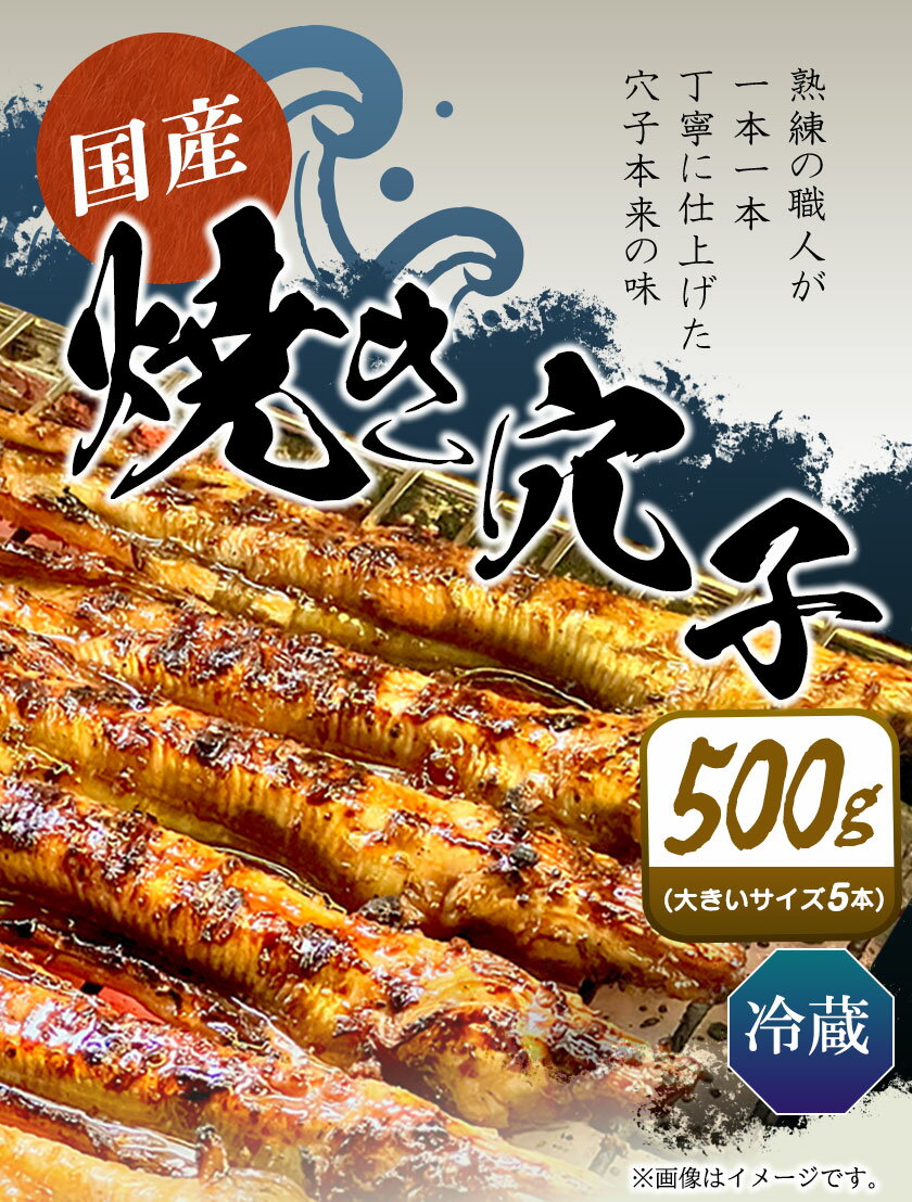 【ふるさと納税】穴子 焼穴子 たれ付き 約500g（国産・大きいサイズ約5本）備前海産有限会社《30日以内に出荷予定(土日祝除く》岡山県 備前市 あなご