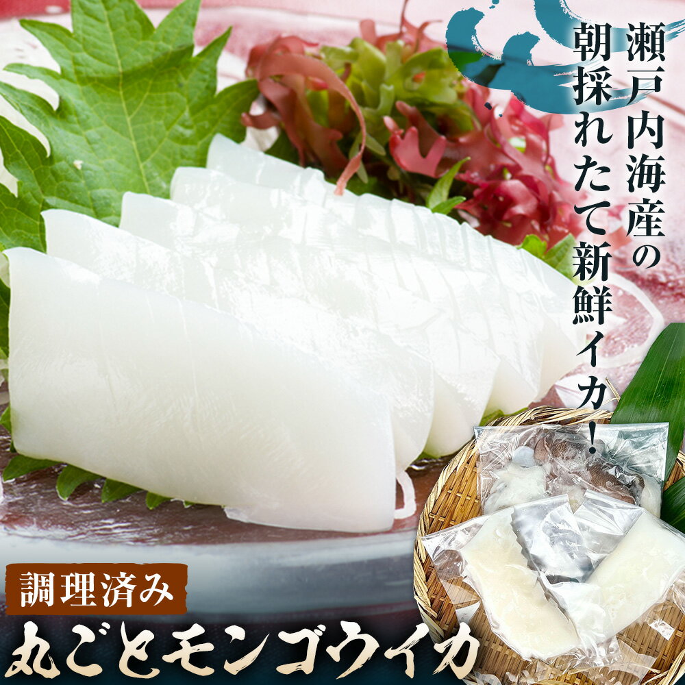イカ 丸ごと モンゴウイカ 調理済み 海産物 短冊×2 ゲソ ミミ 1杯 備前海産有限会社[30日以内に出荷予定(土日祝除く]岡山県 備前市 イカ 刺身 加熱 新鮮 瀬戸内海産 お取り寄せ
