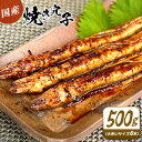 【ふるさと納税】穴子 焼穴子 たれ付き 約500g 国産・大きいサイズ約6本 備前海産有限会社《30日以内に出荷予定 土日祝除く》岡山県 備前市 あなご