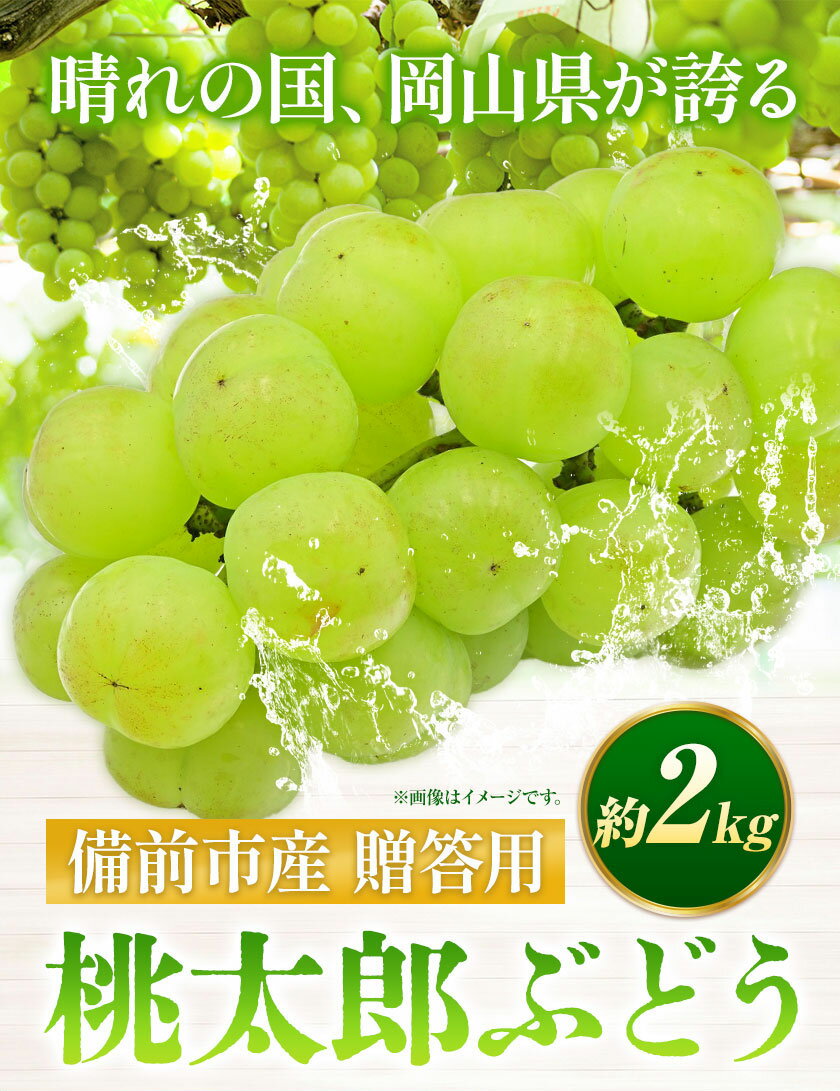 【ふるさと納税】【2024年発送】備前市産 贈答用 桃太郎ぶどう 約2kg 株式会社備前の夢《9月上旬-10月上旬頃出荷》岡山県 備前市 ぶどう 葡萄 桃太郎ぶどう 瀬戸ジャイアンツ フルーツ