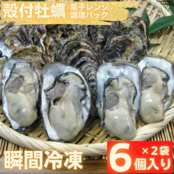 【ふるさと納税】牡蠣冷凍殻付き電子レンジ調理用6粒入り×2袋