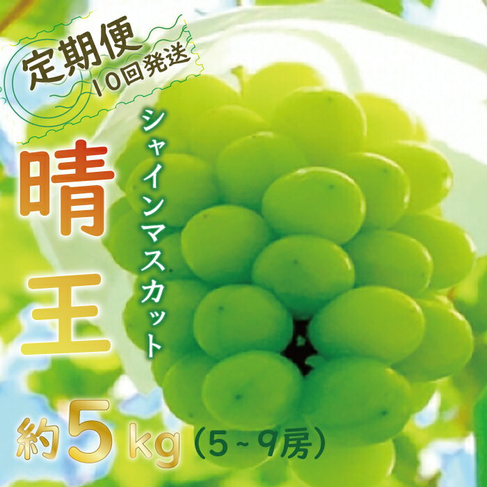 【ふるさと納税】【令和6年産 （2024年発送）先行受付】ぶどう シャインマスカット 定期便 晴王 10回発送 岡山県産