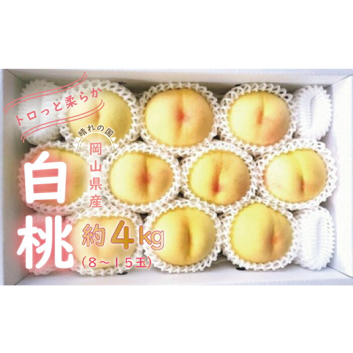 アイテムID:48684の画像1枚目