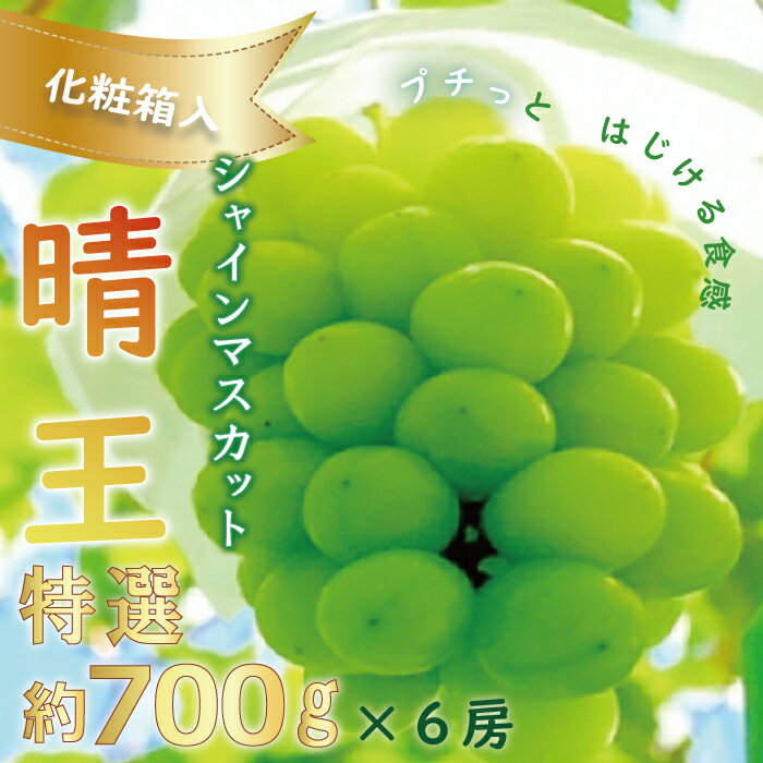 【ふるさと納税】【令和5年産 先行受付】ぶどう シャインマスカット 晴王 特選 700g 6房 化粧箱入 岡山県産
