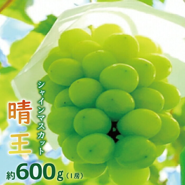 【ふるさと納税】【令和5年産（2023年発送）先行受付】岡山県産シャインマスカット「晴王」600gのサムネイル