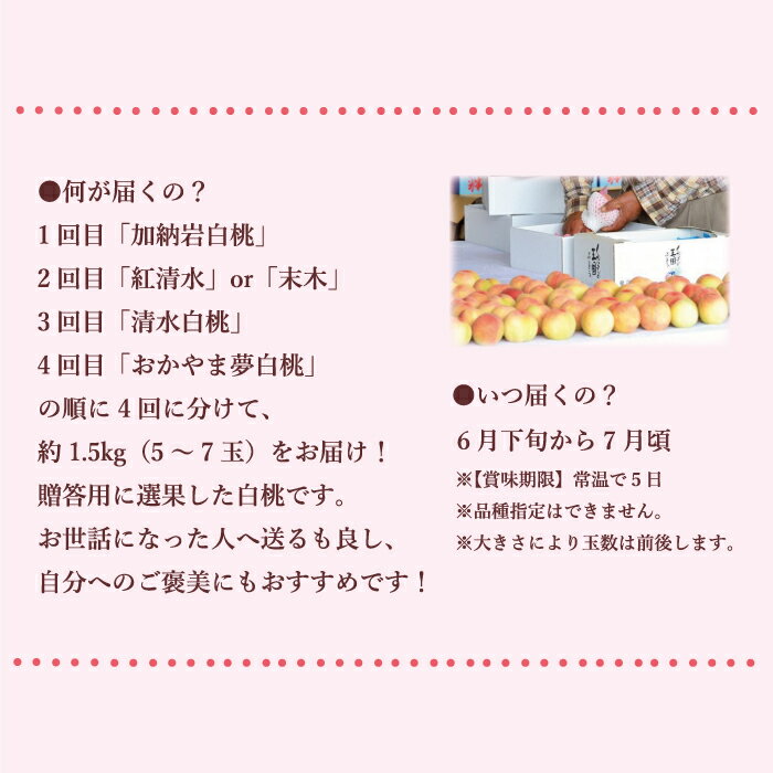 【ふるさと納税】【2024年発送】岡山県備前市産　樹上完熟白桃　贈答用セット　約1.5kg（5～7玉入）×4品種