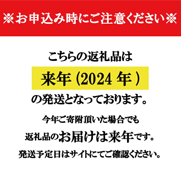 【ふるさと納税】【2024年発送】ひなせ産　牡蠣　食べ比べ　お試しセット