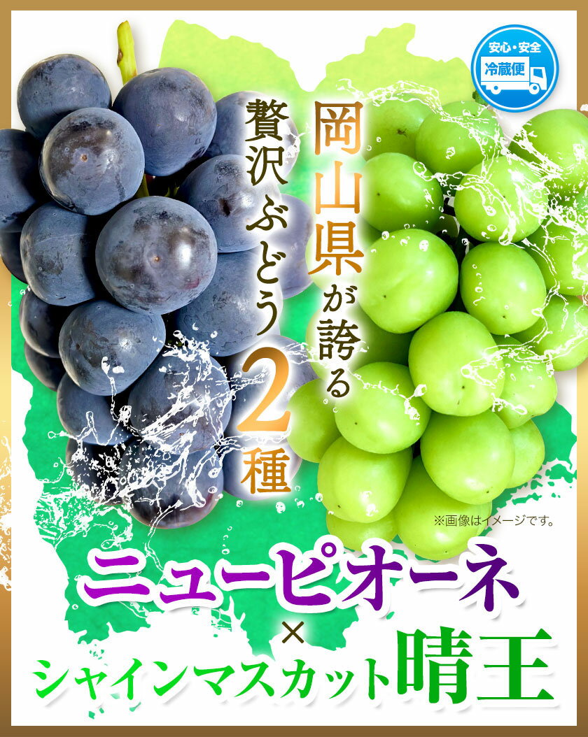 【ふるさと納税】ぶどう 岡山県産 ニューピオーネ×シャインマスカット晴王 2種セット 選べる内容量 約1.4kg(ニューピオーネ1房シャインマスカット晴王1房) 約2kg(ニューピオーネ2房シャインマスカット晴王1房) 梅木商店《8月上旬-10月末頃出荷》岡山県 備前市 ぶどう 葡萄