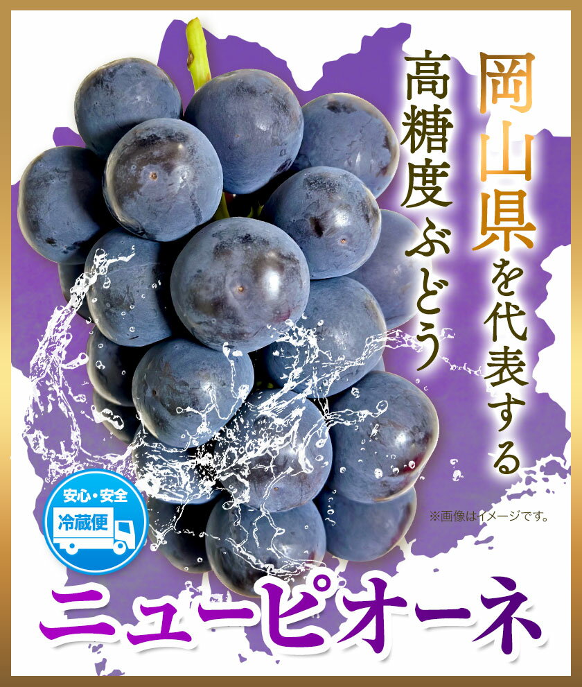 【ふるさと納税】ぶどう 岡山県産【秀品】ニューピオーネ 選べる内容量 大房2房(約1.4kg) 約2kg(3〜4房) 梅木商店《8月上旬-10月末頃出荷》岡山県 備前市 ぶどう 葡萄 秀品