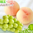 【ふるさと納税】桃 シャインマスカット セット 岡山県産 白桃 晴王 高品質 選べる 1kg 1.5kg 梅木商店《7月上旬-8月下旬頃出荷》岡山県 備前市 送...