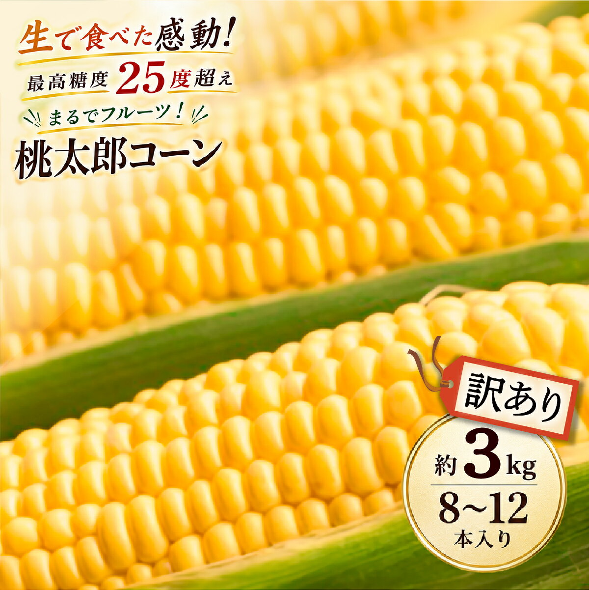 【ふるさと納税】訳あり 牛窓産 とうもろこし まるでフルーツ！最高糖度 25度 超え 生で甘い、茹でて美味い！ 黄色 とうもろこし 桃太郎コーン 訳あり 約3kg (8〜12本入り) 野菜 夏野菜 トウモロコシ コーン 甘いとうもろこし お届け:2026年8月下旬〜2026年9月下旬