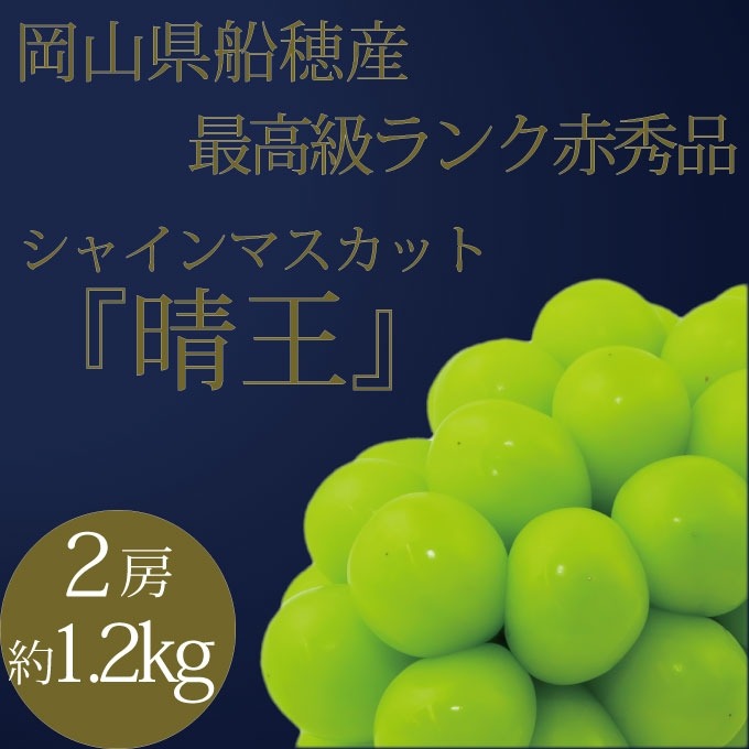 【ふるさと納税】ぶどう 2026年 先行予約 9月・10月発送 高級品 シャインマスカット 晴王 2房 約1.2kg ブドウ 葡萄 岡山県産 船穂産 フルーツ 果物 ギフト