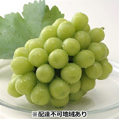 記事番号:115/アイテムID:361622の画像