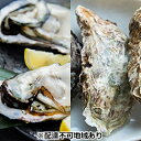 【ふるさと納税】岡山虫明産(瀬戸内市)牡蠣 むき身約500...
