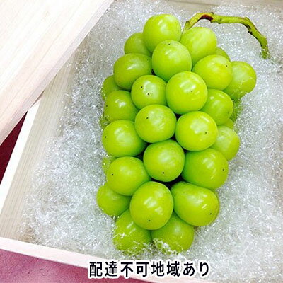 ●先行予約●内藤ぶどう園 岡山県産 シャインマスカット 桐箱1房入り 900g以上 【果物類・ぶどう・マスカット・フルーツ・シャインマスカット・ブドウ】 お届け:2022年10月上旬〜2022年11月中旬