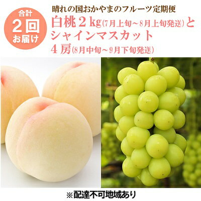 ●先行予約●晴れの国おかやまのフルーツ定期便 白桃 2kg(5玉〜7玉)シャインマスカット 4房(合計2.8kg以上) 【定期便・果物類・ぶどう・マスカット・シャインマスカット・フルーツ・果物・もも・桃・白桃】 お届け:2022年7月上旬〜2022年9月下旬