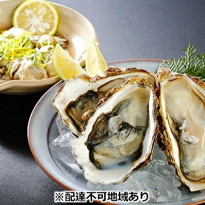 【ふるさと納税】秀栄水産 瀬戸内の 牡蠣 セット（むき身400g＋殻つき10粒） 海の幸 海のミルク 海鮮 貝 岡山県 瀬戸内市 虫明湾　【魚介類 カキ 牡蠣 400g】　お届け：2024年1月中旬～2024年3月中旬のサムネイル