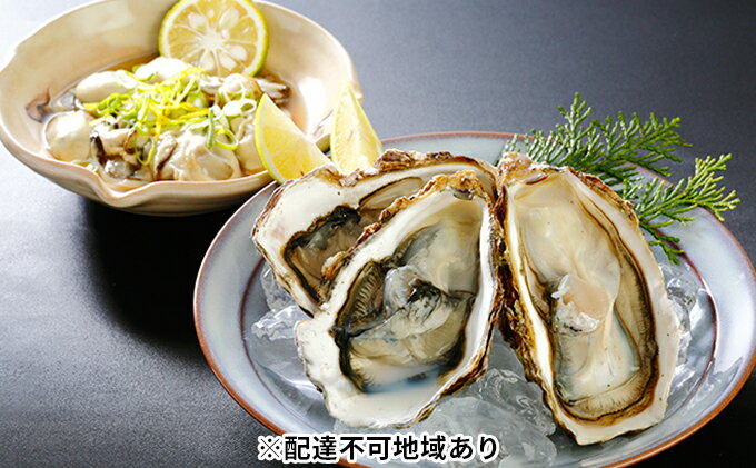 【ふるさと納税】秀栄水産 瀬戸内の 牡蠣 豪華セット（むき身1kg＋殻つき約2kg） 海の幸 海のミルク 海鮮 貝 岡山県 瀬戸内市 虫明湾 魚介類 カキ 3kg 　お届け：2026年1月中旬～2026年3月上旬まで