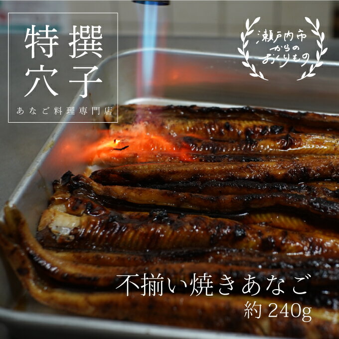 焼き あなご 240g [ 不揃い小ぶりサイズ ]　【魚貝類 穴子】