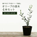 岡山県瀬戸内市の画像2
