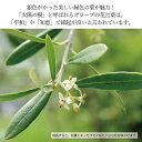 岡山県瀬戸内市の画像3