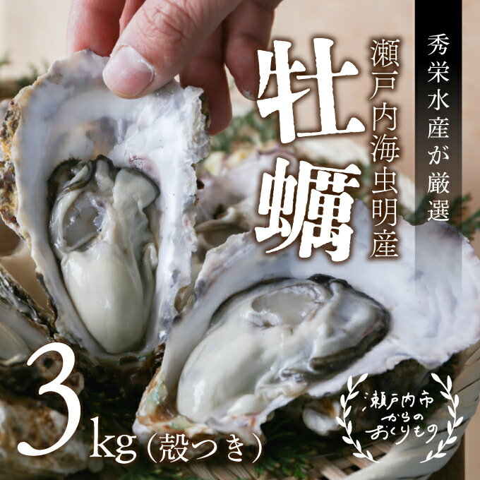 【ふるさと納税】秀栄水産　瀬戸内の 牡蠣 （殻つき 約3kg）　【魚介類 カキ 牡蠣 3kg】　お届け：2023年1月中旬〜2023年3月中旬のサムネイル