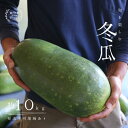 【ふるさと納税】冬瓜 （ とうがん ）約10kg 瀬戸内 牛窓産 野菜 夏野菜 　【野菜】　お届け：2024年8月上旬～2024年8月下旬