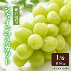 【ふるさと納税】ぶどう 2026年 先行予約 シャイン マスカット 1房 約500g ブドウ 葡萄 岡山県産 国産 フルーツ 果物 ギフト お届け:2026年8月下旬~2026年9月下旬