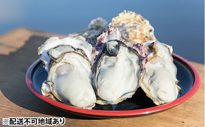 【ふるさと納税】牡蠣 2026年先行予約 モリ旬 牡蠣 半斗缶 殻付き 約5～6kg 岡山県 瀬戸内市 虫明産 魚介類 カキ かき 5～6kg 　お届け：2026年1月中旬～2026年3月下旬