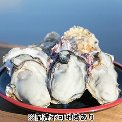 【ふるさと納税】牡蠣 2024年先行予約 モリ旬 牡蠣 1斗缶 殻付き 約10～12kg 岡山県 瀬戸内市 虫明産　【魚介類 カキ 牡蠣 魚介類 かき 10～12kg】　お届け：2024年1月中旬～2024年3月下旬のサムネイル