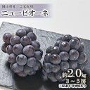 【ふるさと納税】ぶどう 2026年 先行予約 ご家庭用 ニュー ピオーネ 約2.0kg (3~5房) ブドウ 葡萄 岡山県産 国産 フルーツ 果物 お届け:2026年8月下旬~2026年10月中旬