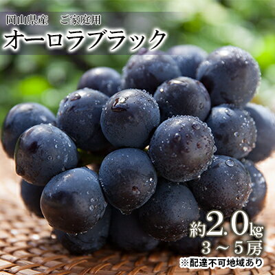 【ふるさと納税】【×】ぶどう 2024年 先行予約 ご家庭用 オーロラブラック 約2.0kg（3～5房）ブドウ 葡萄 岡山県産 国産 フルーツ 果物　果物 ぶどう フルーツ 果物類　お届け：2024年8月中旬～2024年9月上旬のサムネイル