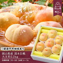 【ふるさと納税】桃 2026年 先行予約 清水白桃 約2.2kg 大玉 6~7玉 もも モモ 岡山県産 国産 フルーツ 果物 ギフト お届け:2026年7月中旬~2026年8月上旬