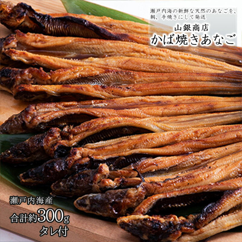 【ふるさと納税】山銀商店 かば焼きあなご(約300g/約6本入り)　【あなご アナゴ 穴子 魚介類】　お届け：2023年4月中旬〜2024年1月20日頃のサムネイル
