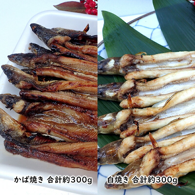 あなご 先行予約 山銀商店 白焼き ・ かば焼き あなご セット (合計約600g) 産地直送 穴子 魚介類 [あなご アナゴ 穴子 魚介類] お届け:2024年4月中旬〜2025年1月20日頃