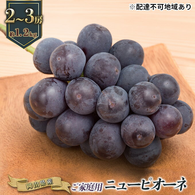 【ふるさと納税】ぶどう 2025年 先行予約 ご家庭用 ニュー ピオーネ 2～3房 合計約1.2kg ブドウ 葡萄 岡山県産 国産 フルーツ 果物 ギフト 果物類 　お届け：2025年9月上旬～2025年10月上旬のサムネイル